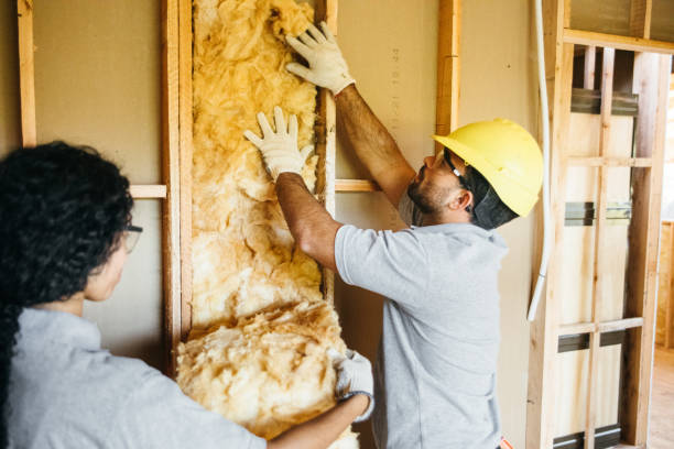 Eco-Friendly or Green Insulation Solutions in Victory Lakes, NJ